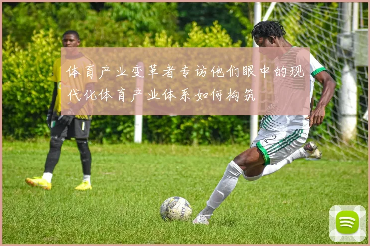 体育产业变革者专访他们眼中的现代化体育产业体系如何构筑